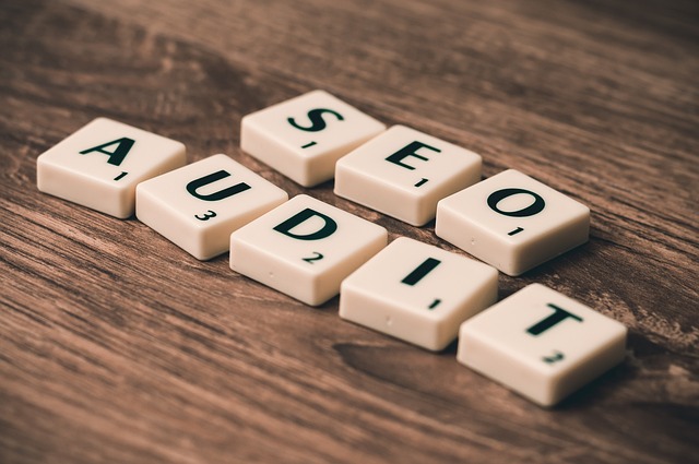 audit SEO